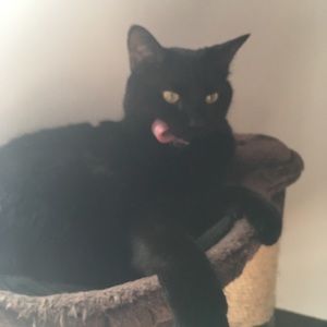 Meet your Posher, Carrie